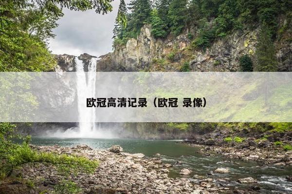 欧冠高清记录（欧冠 录像）