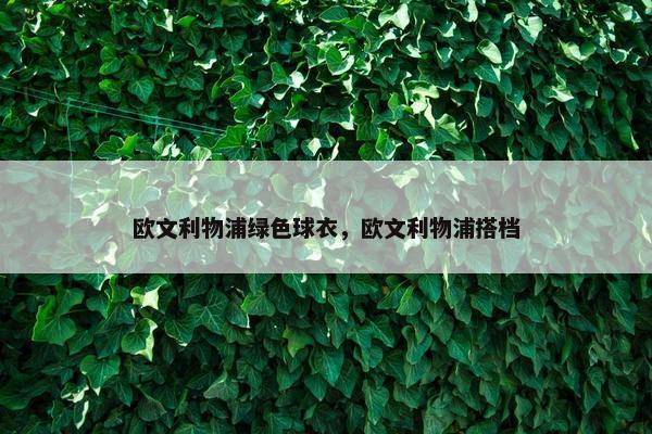 欧文利物浦绿色球衣，欧文利物浦搭档