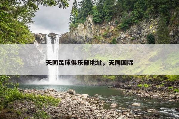 天同足球俱乐部地址，天同国际