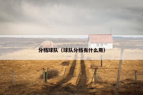 分档球队（球队分档有什么用）