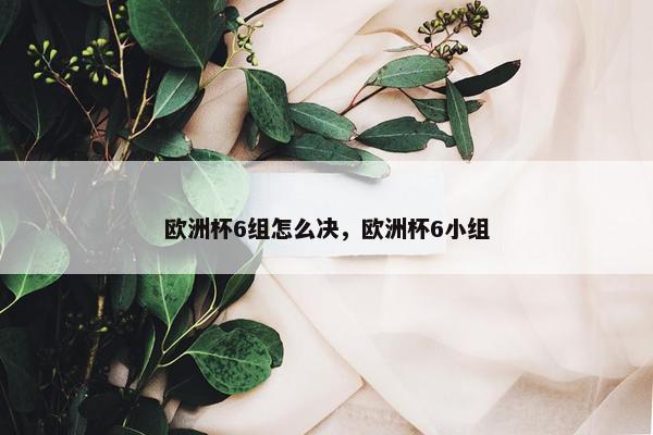 欧洲杯6组怎么决，欧洲杯6小组