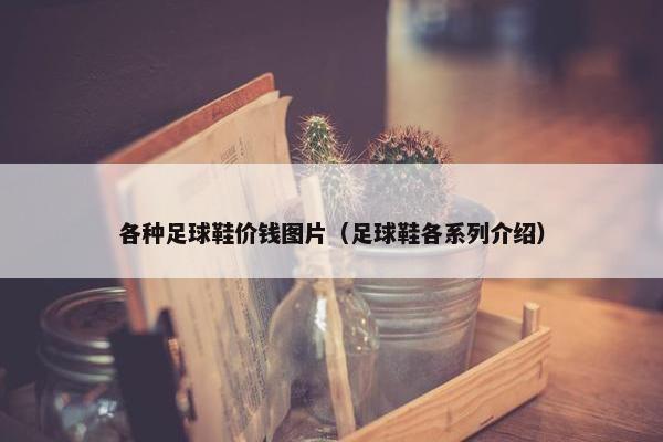 各种足球鞋价钱图片（足球鞋各系列介绍）