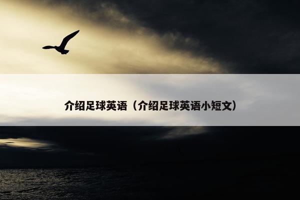 介绍足球英语（介绍足球英语小短文）
