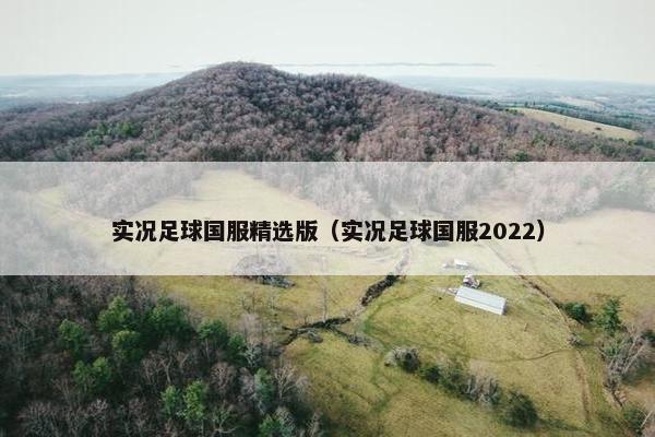 实况足球国服精选版（实况足球国服2022）