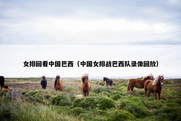 女排回看中国巴西（中国女排战巴西队录像回放）