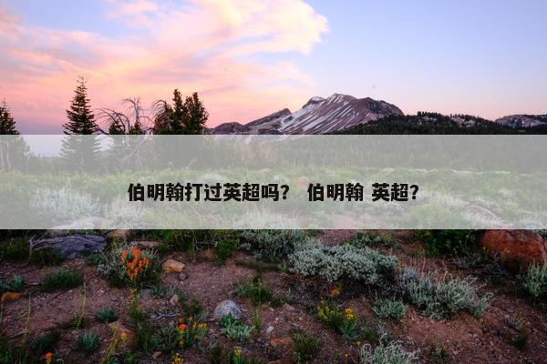 伯明翰打过英超吗？ 伯明翰 英超？