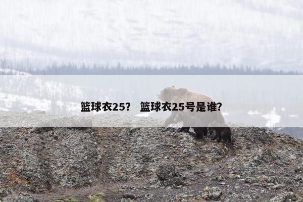 篮球衣25？ 篮球衣25号是谁？