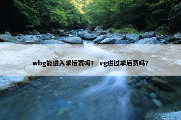 wbg能进入季后赛吗？ vg进过季后赛吗？