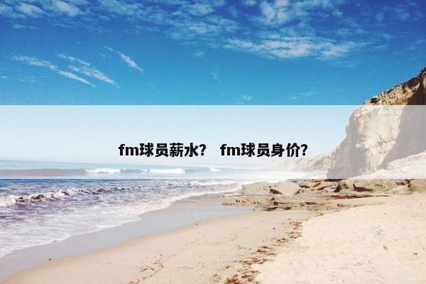 fm球员薪水？ fm球员身价？