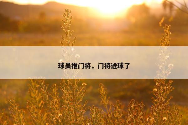 球员推门将，门将进球了