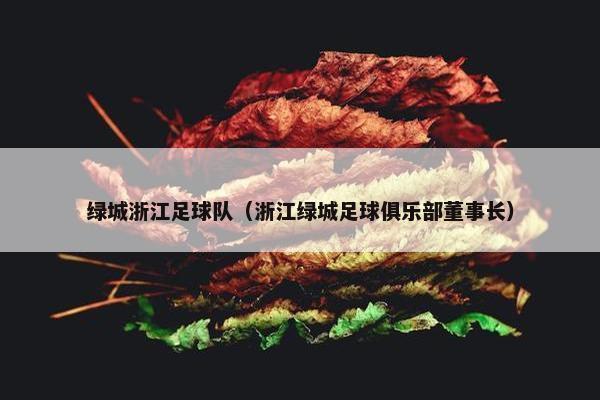 绿城浙江足球队（浙江绿城足球俱乐部董事长）