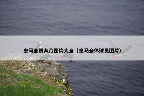 皇马全员奔跑图片大全（皇马全体球员图片）