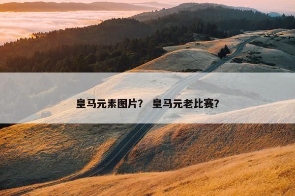皇马元素图片？ 皇马元老比赛？