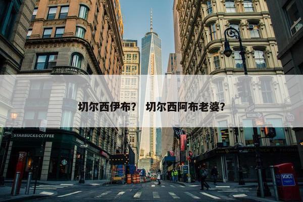 切尔西伊布？ 切尔西阿布老婆？