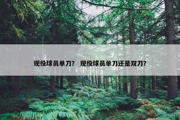 现役球员单刀？ 现役球员单刀还是双刀？