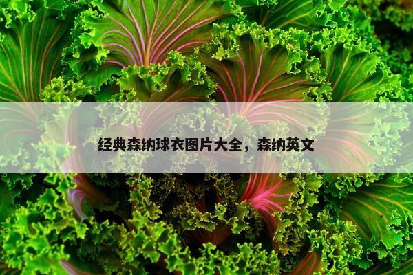 经典森纳球衣图片大全，森纳英文