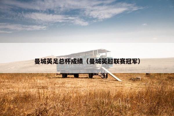 曼城英足总杯成绩（曼城英超联赛冠军）