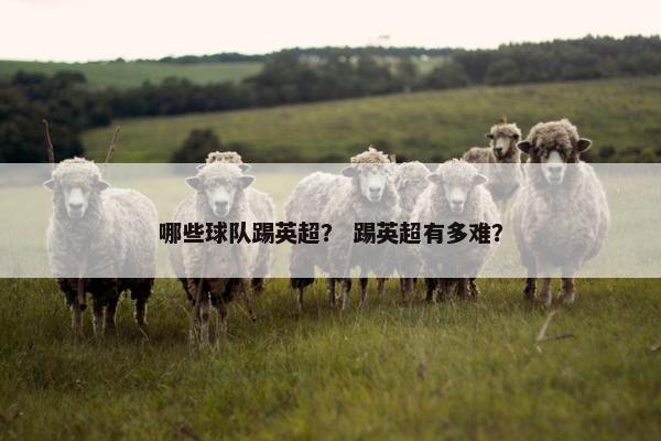 哪些球队踢英超？ 踢英超有多难？