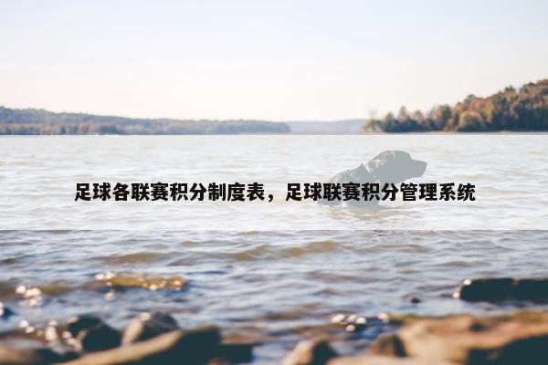 足球各联赛积分制度表，足球联赛积分管理系统