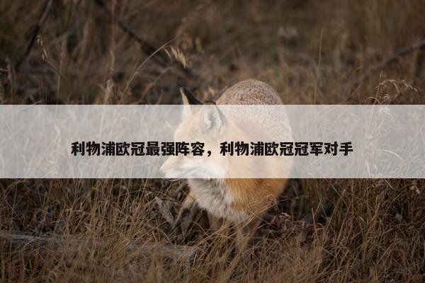利物浦欧冠最强阵容，利物浦欧冠冠军对手