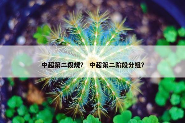 中超第二段规？ 中超第二阶段分组？