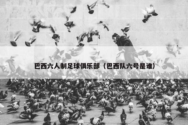 巴西六人制足球俱乐部（巴西队六号是谁）