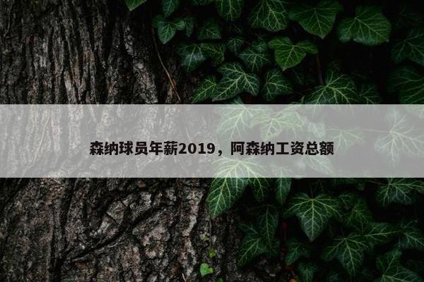 森纳球员年薪2019，阿森纳工资总额