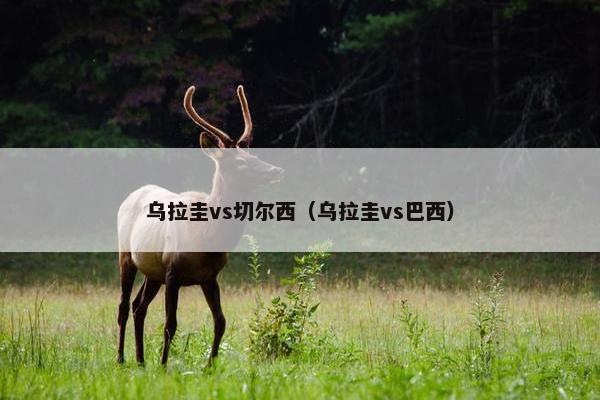 乌拉圭vs切尔西（乌拉圭vs巴西）