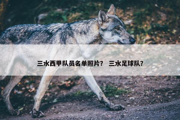 三水西甲队员名单照片？ 三水足球队？