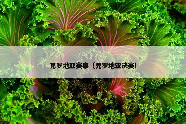 克罗地亚赛事（克罗地亚决赛）